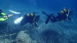 ScienceDiver training course STARESO 4