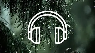 【ASMR】雨降る静寂の森に包まれる 🌲 激しい雨音で一瞬で眠れる究極の自然音｜自律神経を整える 4K
