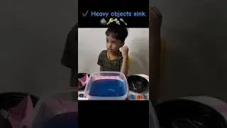 🌊💦 Sink or Float? Fun Science for Little Learners! 💦🌊Let&rsquo;s do a fun experiment! 🤩🔍