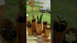 Bamboo Decor Crafts Ideas #viral #shorts #youtubeshorts #beautiful