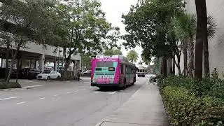 Miami-Dade Transit: Okeechobee bound Gillig BRT HEV 14110 Rt.183 leaving Aventura Mall