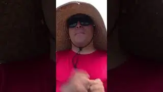 &iquest;Qu&eacute; es la Wipa? en Mazatl&aacute;n, Sinaloa  | Reporte Indigo