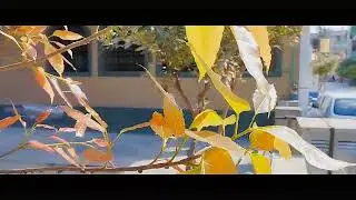 try to be cinematic Pakistan 🇵🇰 Vlog