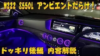 (後編) 高額請求ドッキリ！W222 S550L RGBだらけにしてみました！