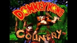 treinamento Donkey Kong Country live