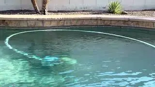 How to Remove Waterline Scum & Algae in Your Pool (Not for Minerals!)