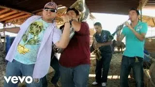 Los Cochis Con Algas - El Ochito