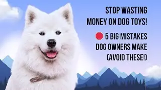 STOP Wasting Money on Dog Toys! 🛑 5 BIG Mistakes Dog Owners Make (Avoid These!)