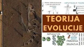 Teorija evolucije