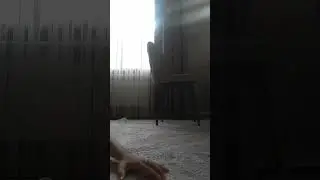 11 января 2026 г.