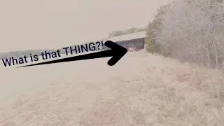 There is someTHING in the woods | TWG - The Watson Garage