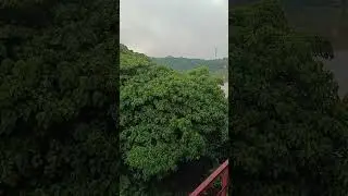 Netravathi bridge bantwal,#nature #travel #new #trending #morning #train #netravati #bridge ,#vibes