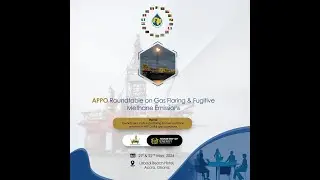 APPO Roundtable Discussion on Gas Flaring & Fugitive Methane Emissions...Day 2