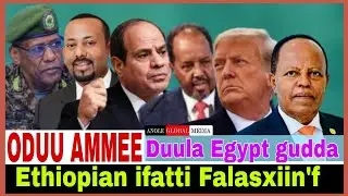 Ethiopian ifatti Palestine'f//Duula Egypt guddaa//9/26/2025 AGM