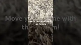 Move your phone with the rhythm #loop #cute #funny #viral