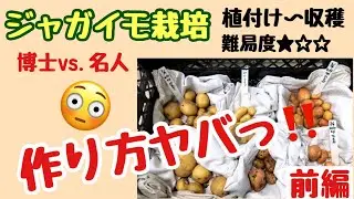 Часть 1 [Настолько просто, что даже стыдно 😅] Выращивайте картофель в своем саду! #ВыращиваниеКар...