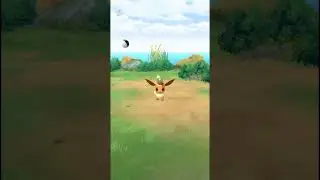 Catching Eevee in Pok&eacute;mon GO | Today&rsquo;s Research Adventure