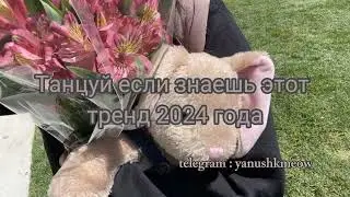🌷💖 Танцуй если знаешь этот тренд 2024 года 🌷💖 Лучшее тренды Тик Ток 2024 🌷💖