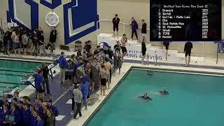 MSHSL 8AA Boys Swim & Dive Finals 2024