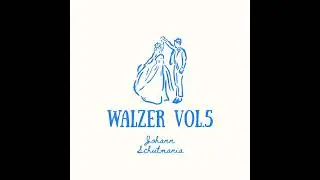 2 Hours Jazz&Newage Music | Waltz | Instrumental Music | Brand Name: Johann Schutmania-Walzer Vol.5