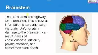 TBI Presentation video