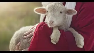 11-26-2023 - The Amazing Lamb - Roger Labbe, CEF Missionary
