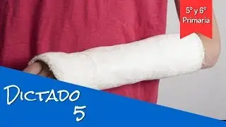 5&ordm; y 6&ordm; Primaria. Dictado 5. Lengua