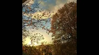Couch&eacute; de soleil automnal ( cordes, trombone, piano et clavecin)