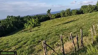 CR0CK&euro;RY T&euro;&euro;TH Vs TURTLE NECK OPINION ON KIPRICH & KIZZY 