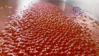 Sinofude CBZ200 Bursting Ball Fruit Ball Popping Boba Production Line #poppingboba #boba #juiceball