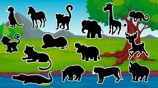 Que Animal É Esse? Descubra Pelas Sombras! 🐾 | Vídeo Educativo Infantil