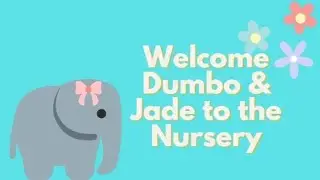 Akkisla Creations by Sue Koch | Welcome Dumbo & Jade to the Nursery!