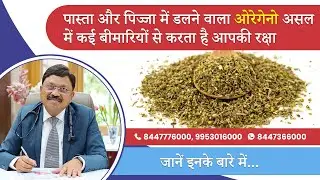 Oregano Health Benefits: इन बीमारियों से बचाने में मददगार&nbsp;है&nbsp;ओरिगैनो! | Dr. Bimal Chhajer | SAAOL