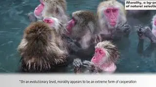 MORALITY 