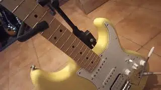 Rowin Noise Gate issue