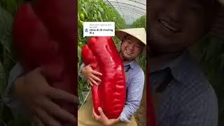 Inside #short #mukang #trending 6