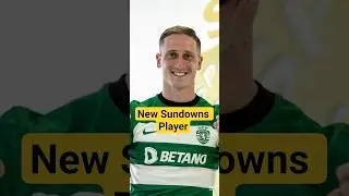 Mamelodi Sundowns New Signing🚨 #sportsontiktok #psl8