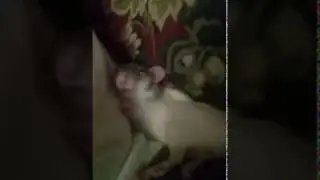 Most ADORABLE Baby Rat Desmond | Sleepy Rat Yawn