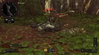 Strike Team Showcase - BO4