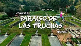 INGENIO - HUANCAYO