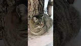 25 января 2026г. Сбербанк 2202203654418625 Елена К. Kaspi +7 771 194 42 69 Глеб Т.