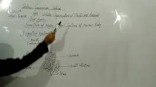 Class 6th,  Science,  Topic: cellular organisation of plants and and animals, page: 14