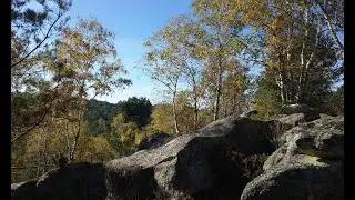 GR-1_De Bois-le-roi &agrave; Malesherbes &agrave; travers la for&ecirc;t de Fontainebleau.
