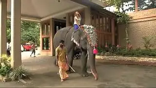 India Travelogue goes to Thekkady Kerala