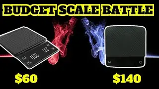 Are These Budget Scales the BEST VALUE for Your Money?