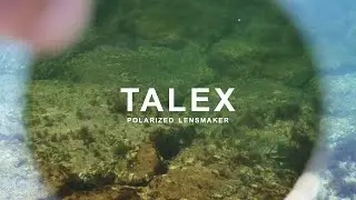 TALEX POLARIZED LENS view