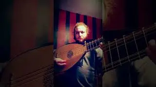 Daydreaming on a Lute