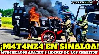 GOLPE LETAL de la MARINA: ABATEN a los JEFES de SEGURIDAD de LOS CHAPITOS