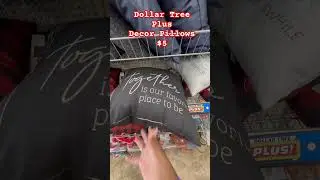 Dollar Tree Plus decor pillows #dollartree #dollartreeplus #pillows #dollartreefinds