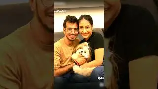 cricketers with thier dogs #cricket #shorts #cricketshorts